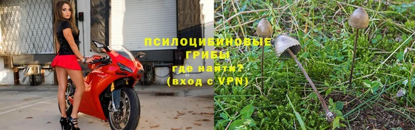 шишки Алзамай