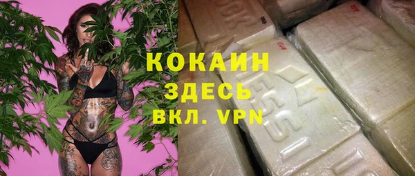 соль ск Алексеевка