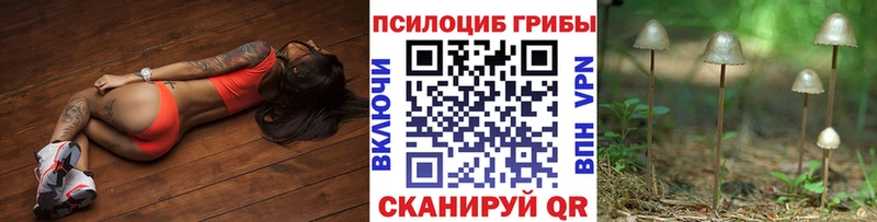 Галлюциногенные грибы Magic Shrooms  где купить   Нея 