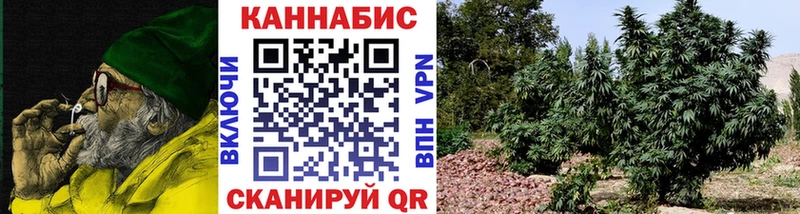 omg tor  Нея  Марихуана SATIVA & INDICA 